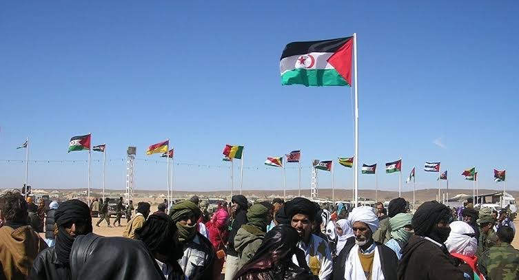 Front Polisario  Au Portugal, la société civile fortement   impliquée en faveur de la cause sahraouie