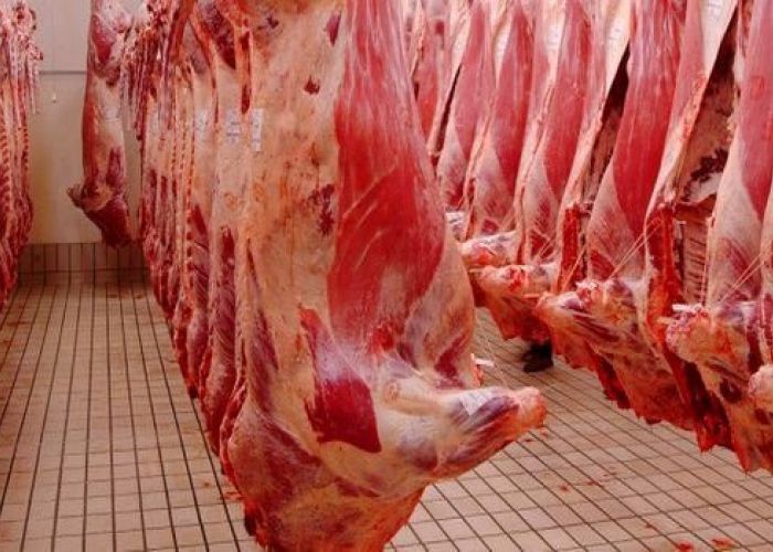 Importation de viandes rouges : l’Algérie opte pour le bœuf français au détriment de l’espagnol