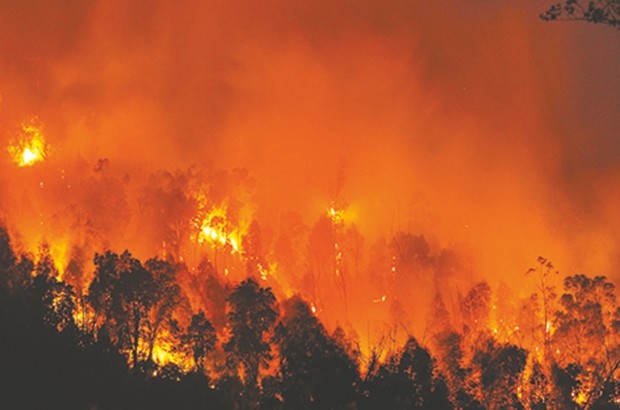 Feux de forêt : la justice met sous les verrous l’auteur d’un incendie ayant entraîné mort d’homme à Skikda