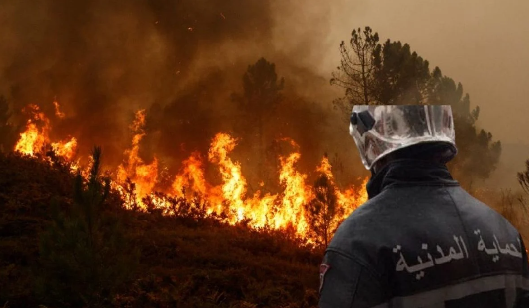 Feux de forêts : plus de 300 incendies ont été enregistrés ces dernières 24 heures en Algérie