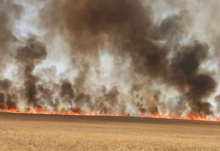 Tiaret : un incendie dévaste plusieurs hectares d’un domaine agricole