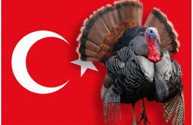 Toponymie : Erdogan ne veut plus que la Turquie passe pour une… dinde