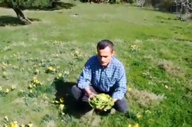 Portrait : Yahia Merzouk, l’homme qui explore les vertus des plantes (vidéo)