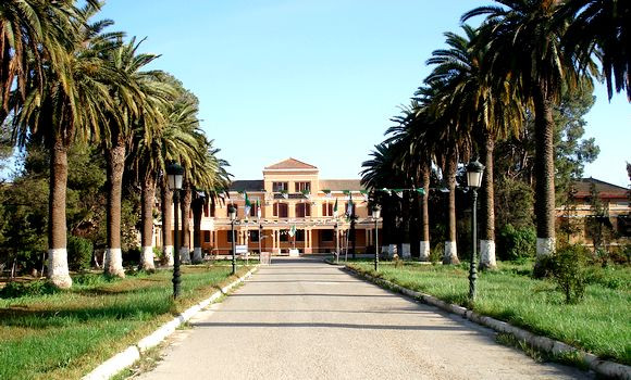 Enseignement supérieur : une université algérienne figure dans le prestigieux classement de Jiao Tong de Shanghai