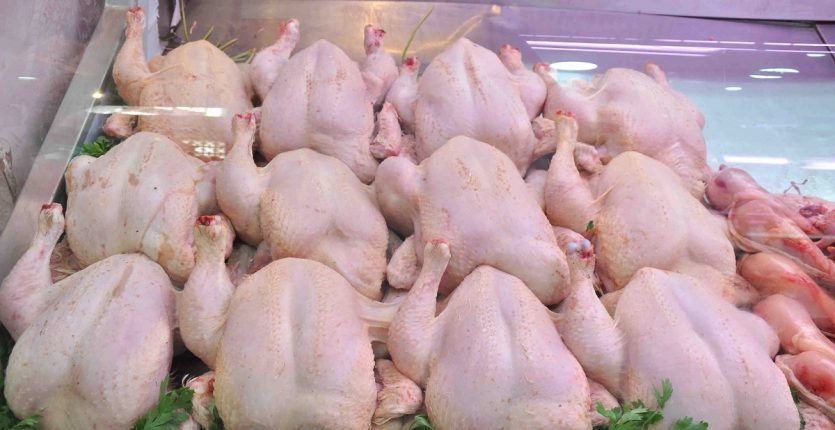 Le prix du poulet plafonné à 350 dinars le kilo