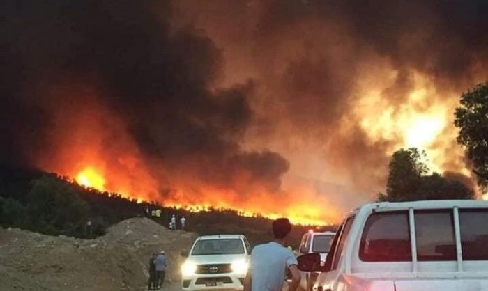 Maroc : de terribles incendies de forêt font une victime et d’importants dégâts matériels (vidéo)