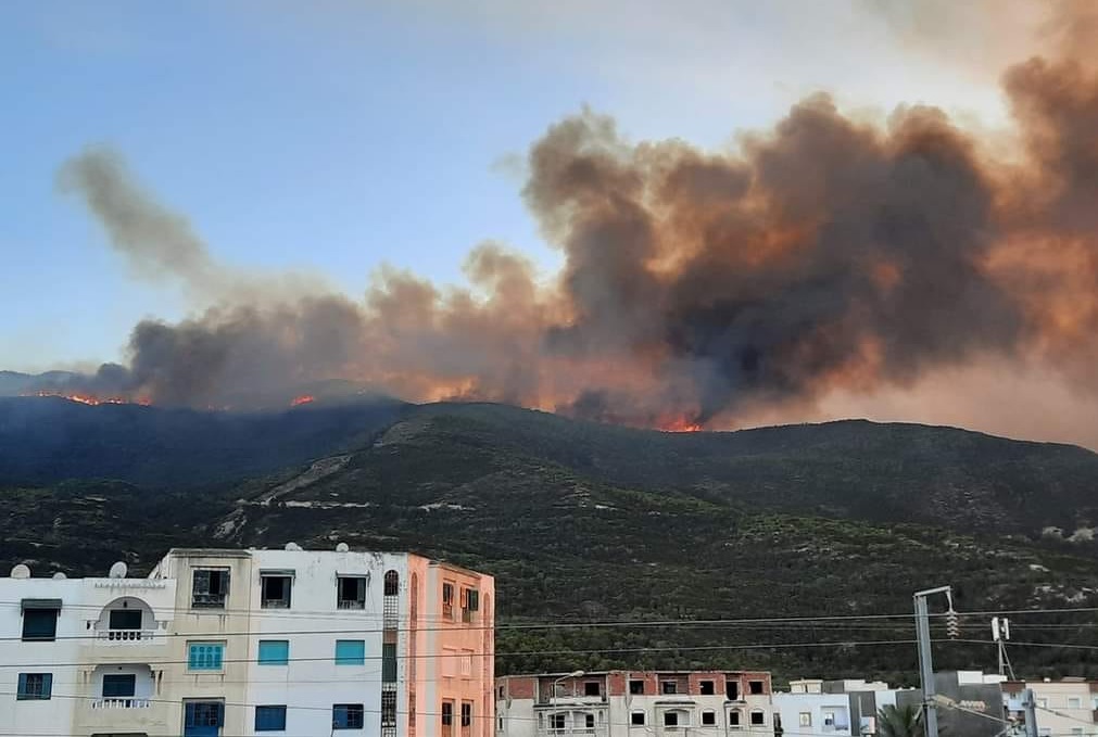 Incendies en Tunisie : le président Tebboune envoie deux hélicoptères et des camions d’extinction en renfort