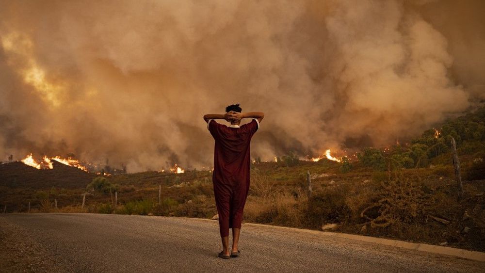 Maroc : des incendies de forêt dévastateurs font quatre morts