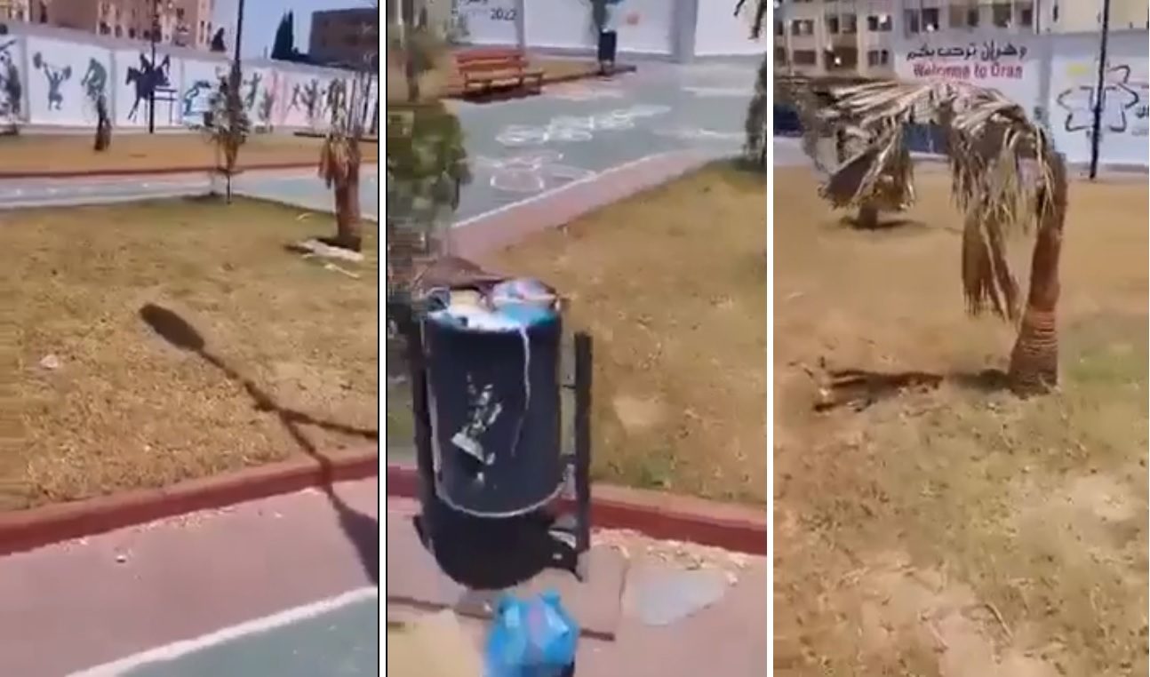 Oran : un jardin aménagé à l’occasion des Jeux méditerranéens est déjà complètement dégradé (vidéo)