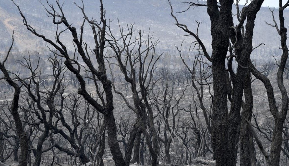 Incendies de forêt : plaidoyer pour une nouvelle politique d’aménagement du territoire