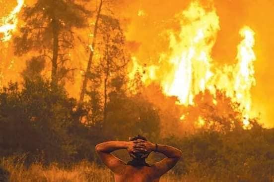 Violents feux de forêt à l’est du pays : le bilan des victimes va en s’alourdissant