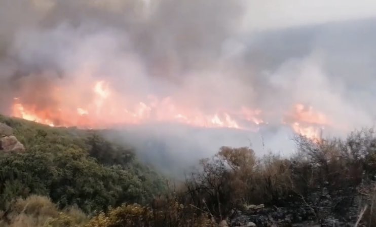 Coïncidant avec la canicule : quelque 78 incendies ont été enregistrés dans 11 wilayas en 24 heures