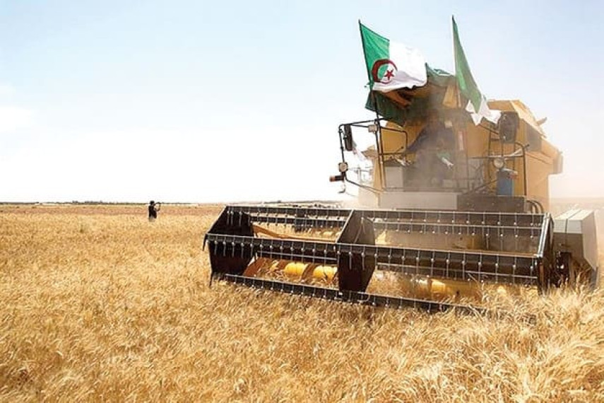 Autosuffisance alimentaire : l’Algérie aspire à satisfaire 80% de ses besoins agricoles en 2023