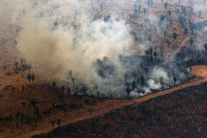 Brésil : plus de 3000 incendies détectés en une journée en Amazonie