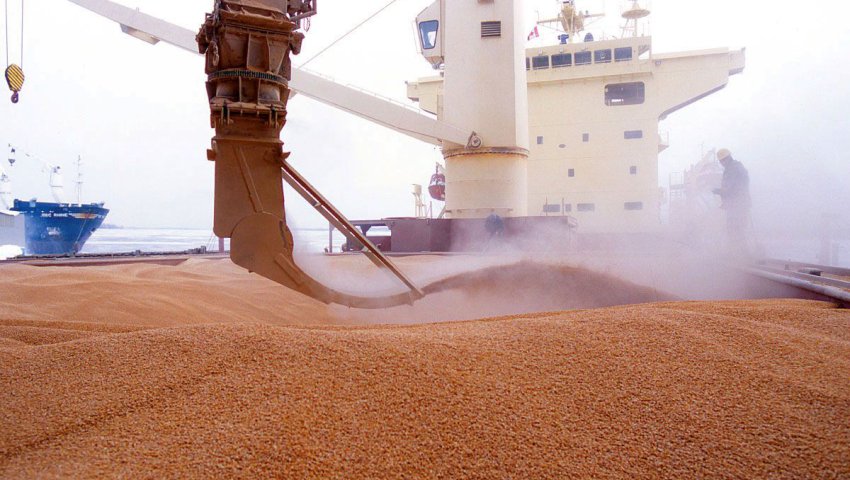 Encouragée par une baisse des prix : l’Algérie achète une importante quantité de blé tendre