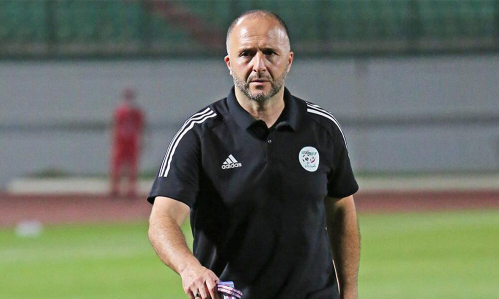 Stage des Verts:  Belmadi révèle ses objectifs