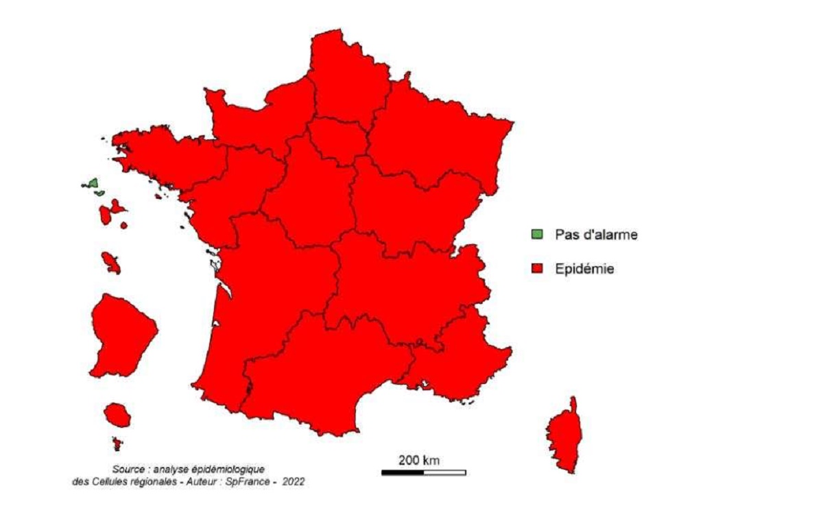 Alerte rouge à l’épidémie de grippe en France