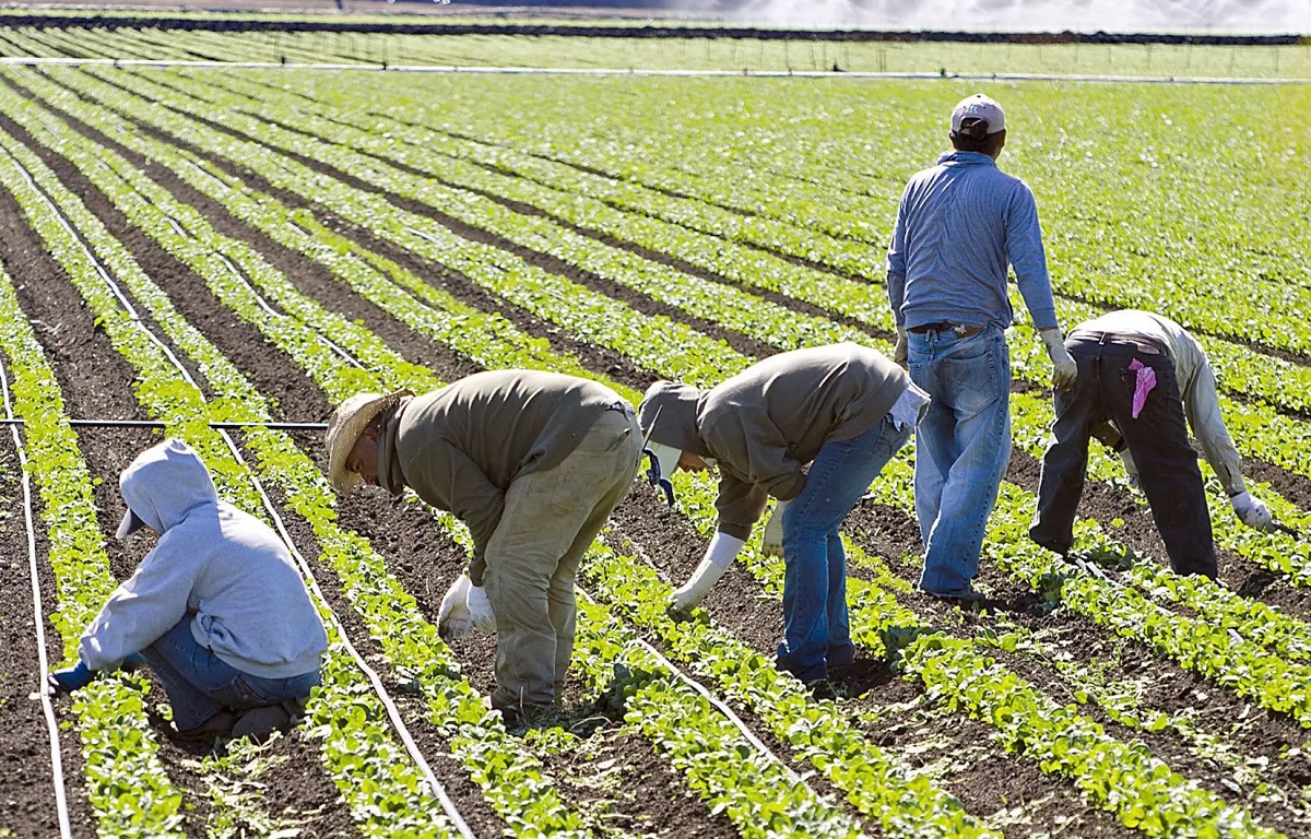 Les migrants, troisième économie mondiale !