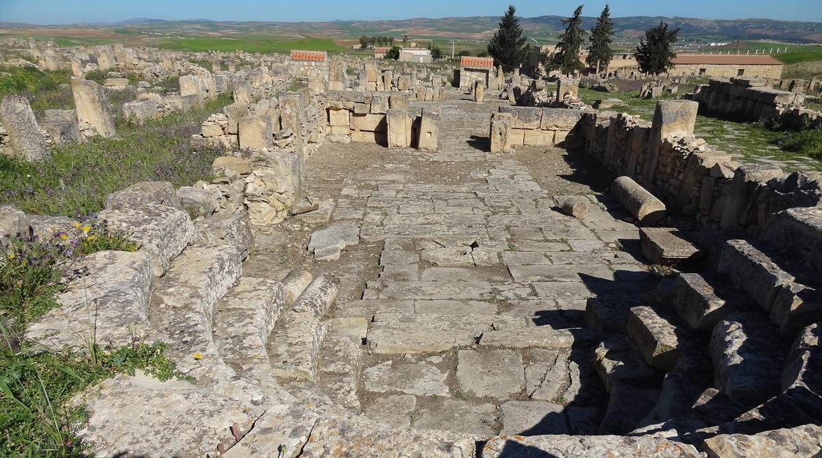 Découverte de nouveaux sites archéologiques à Chlef