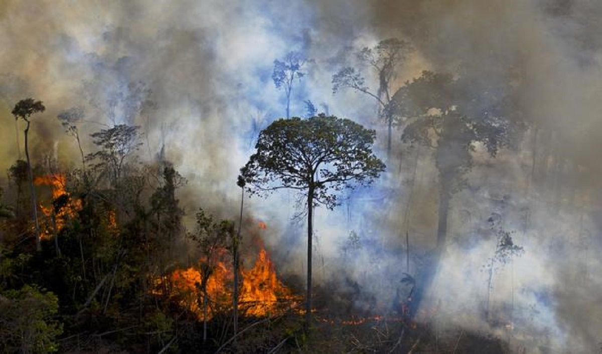 Amazonie : La déforestation s’est accélérée en décembre