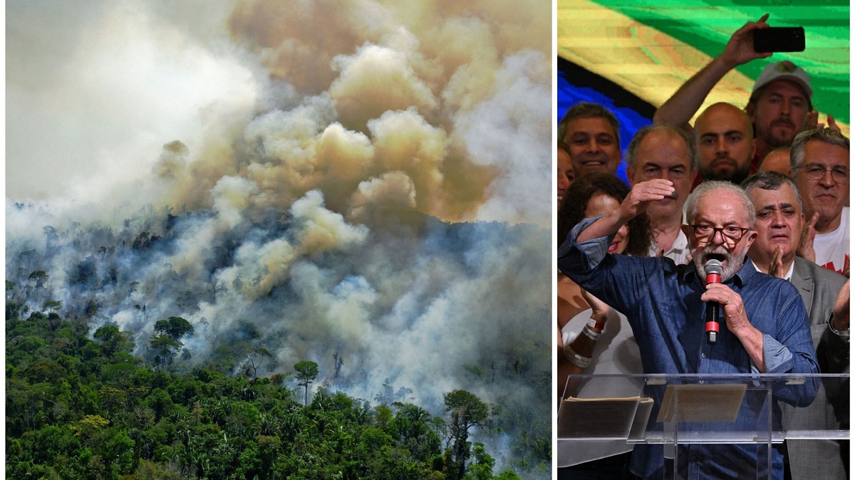 Déforestation au Brésil: Lula passe à l’action