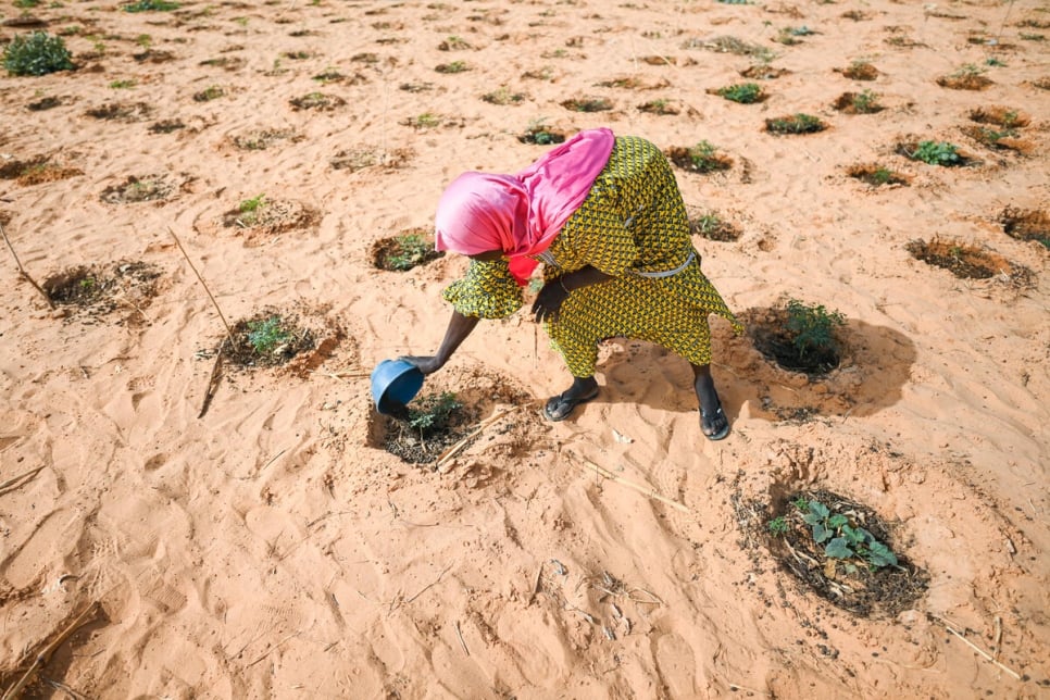 Sahel: Important colloque de haut niveau à Alger