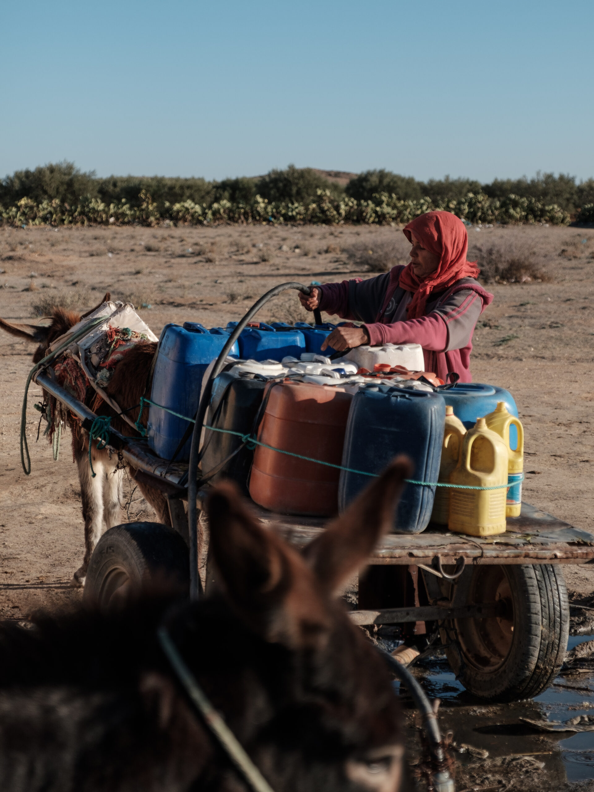 Pays arabes : 130 millions d’habitants vivent dans la pauvreté