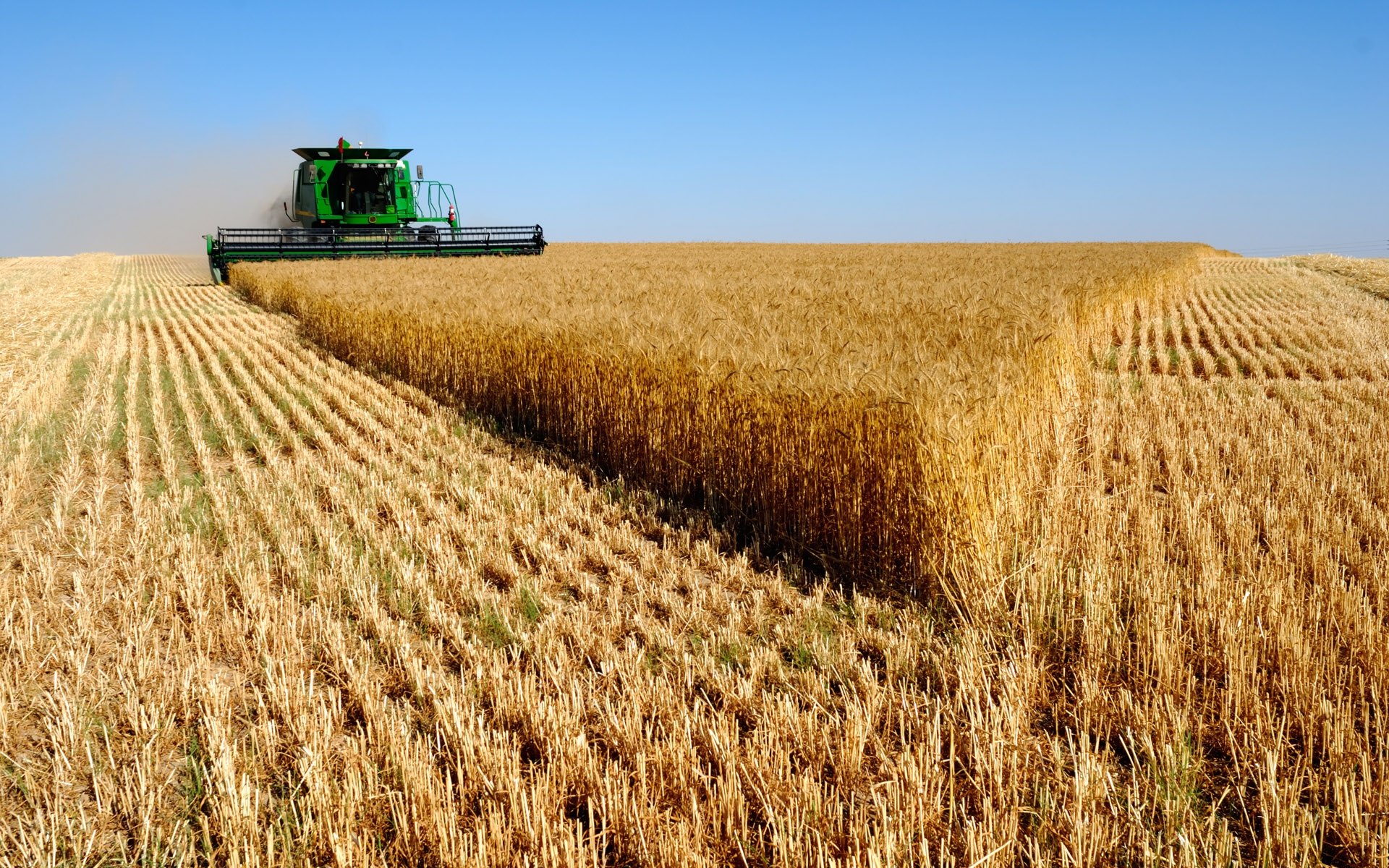 Constantine : Ouverture de la  1ère conférence scientifique sur la sécurité alimentaire dans le monde arabe