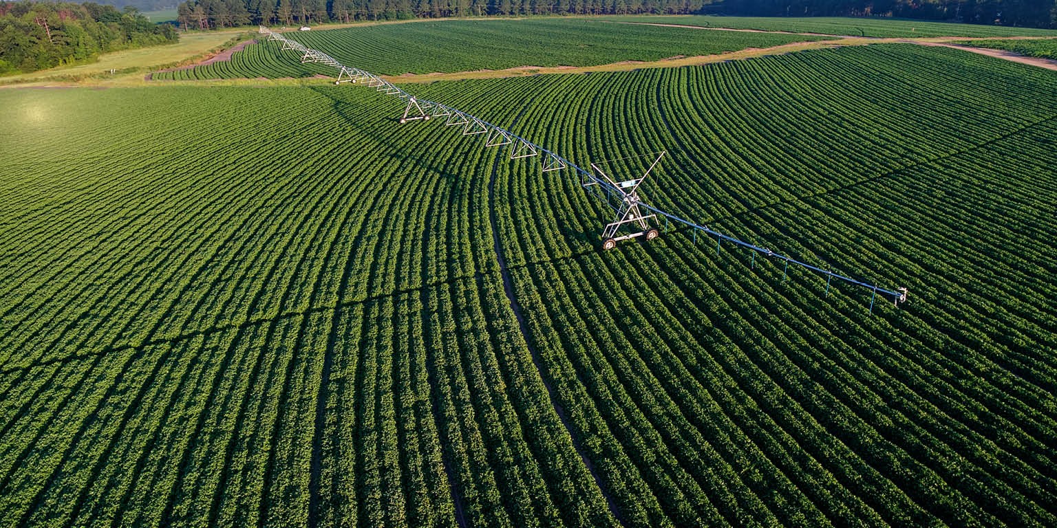 Superficie céréalière irriguée dans le Sud : Vers un relèvement à un million d’hectares