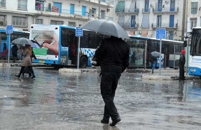 Météo : Des pluies orageuses sur plusieurs wilayas du Centre et de l’Est jusqu’à jeudi