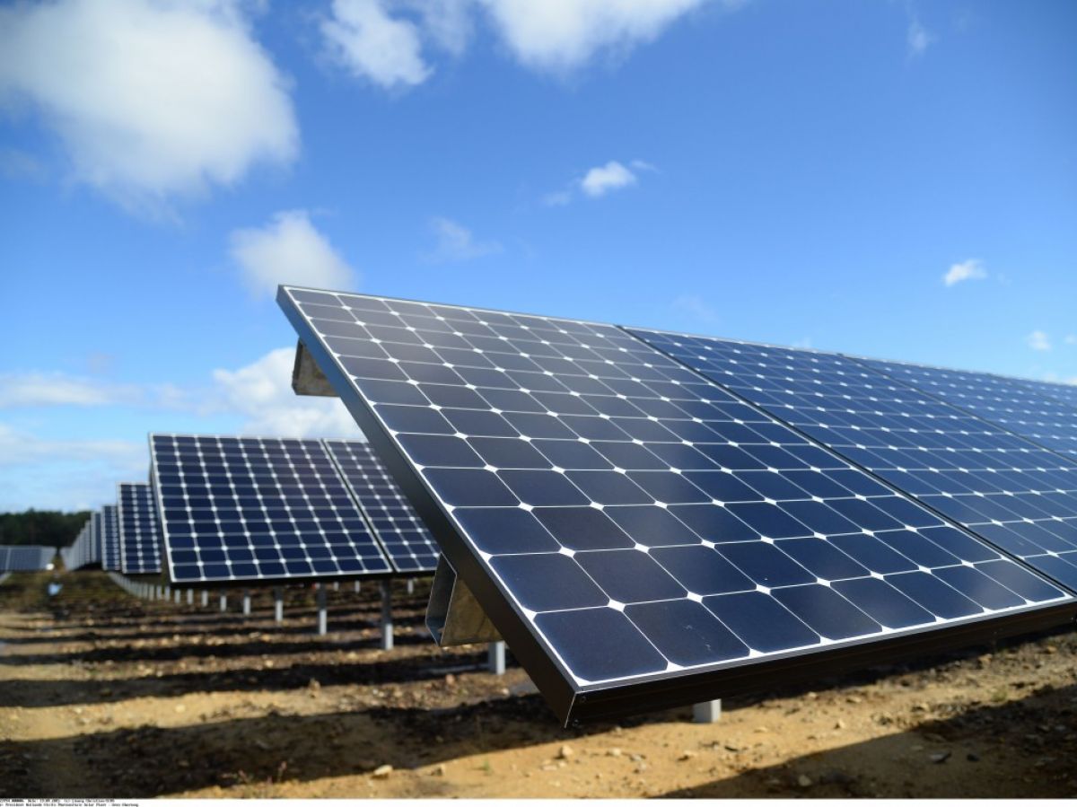 Les conditions pour développer le secteur de l’énergie solaire identifiées : Soutien des producteurs locaux et transfert technologique