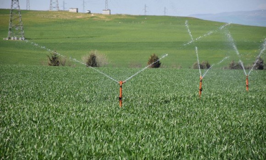 Pour le développement des filières agricoles stratégiques :  Vers la création de mégapoles au Sud