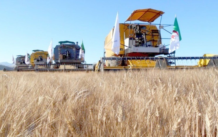 Agriculture , Une contribution de 18%au PIB