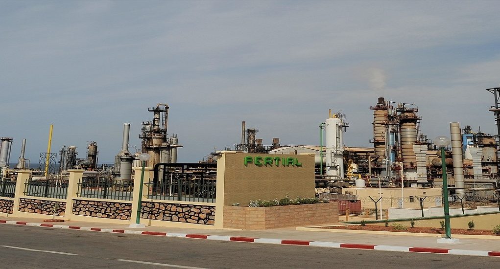 Avec la récupération de Fertial par Sonatrach : Développement de la filière Pétrochimie en faveur de l’économie