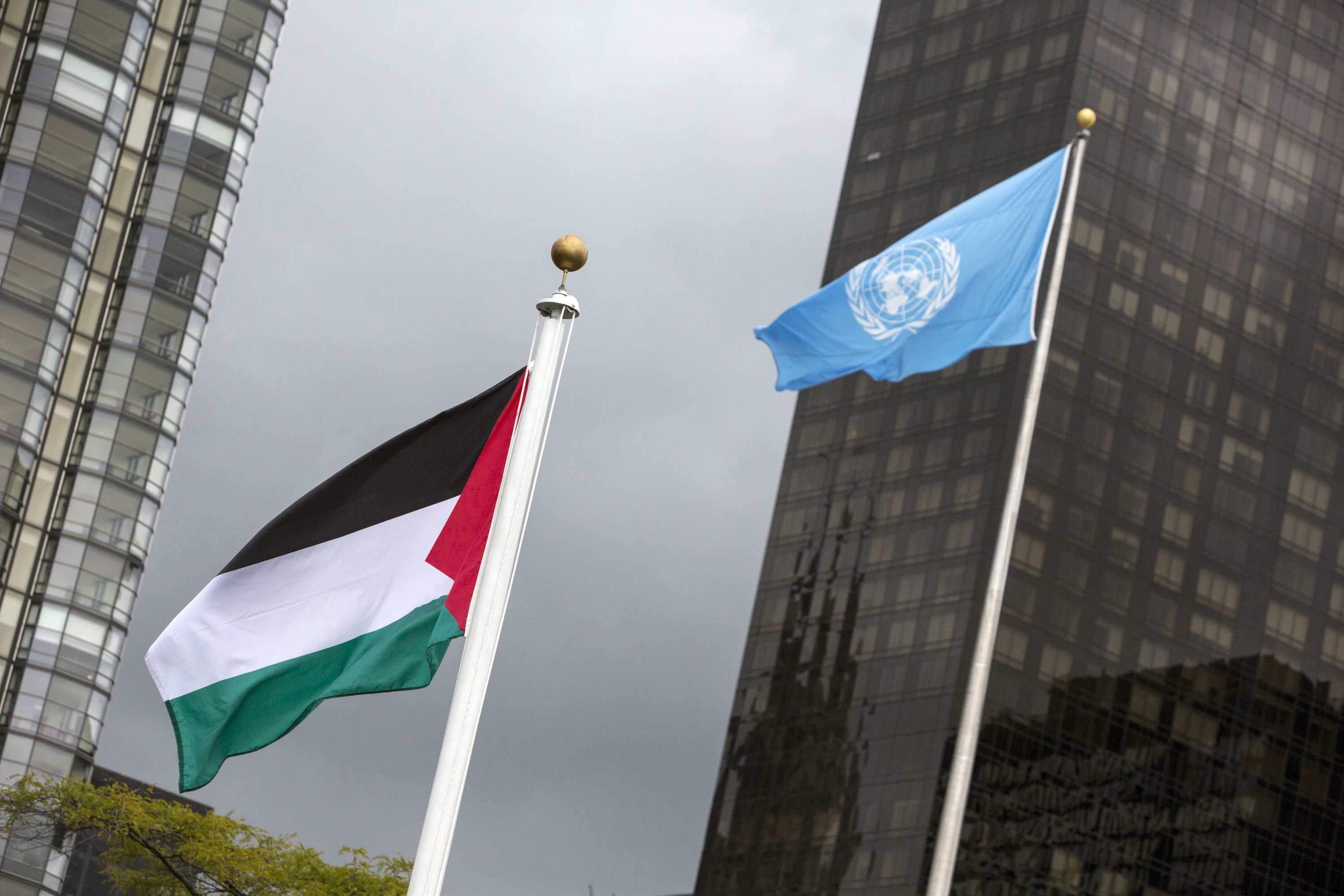 Pour non-respect des résolutions de l’ONU concernant la Palestine : L’Algérie exige des sanctions contre l’entité sioniste