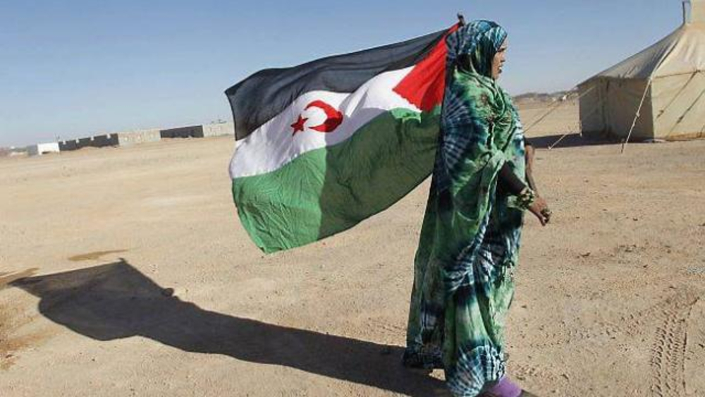 La fédération internationale des Journalistes solidaires avec le peuple sahraoui condamne le soutien de la France au plan marocain